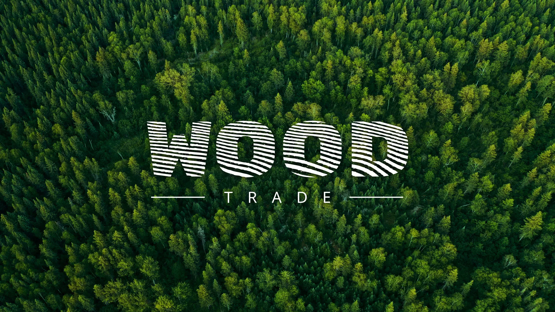 Разработка интернет-магазина компании «Wood Trade» в Костомукше